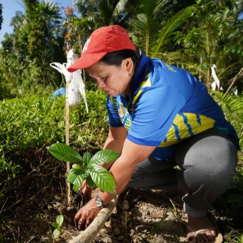 Disaster Resilience Disaster Resilience